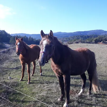 Les Terre Rouges Avec Piscine Dans L ' Aude * Arques (Aude)