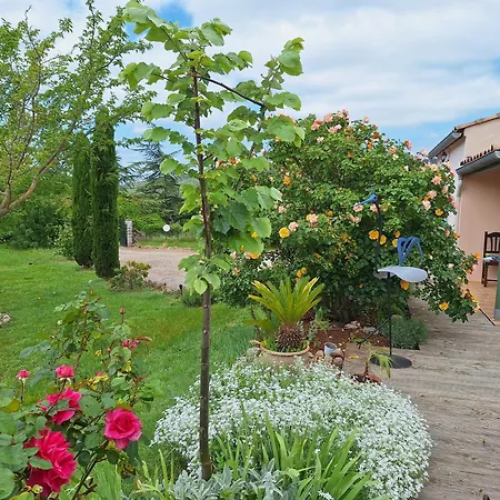 Villa Les Terre Rouges Avec Piscine , Chambres D Hotes 4*